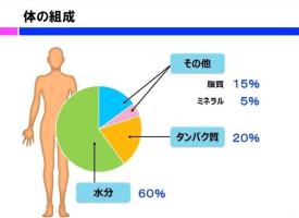 記事のイメージ写真